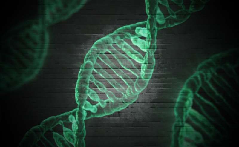 genetics