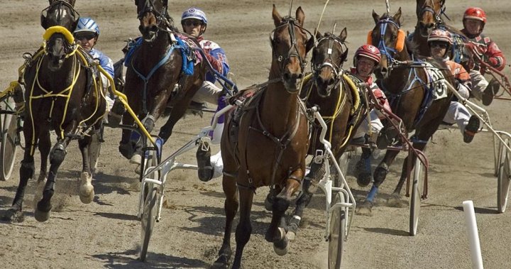Child killed after being hit by starting gate at horse race in New Brunswick