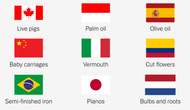 What imports the U.S. relies on most from every country.