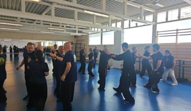 Chinese martial arts inspire cross-cultural exchange-Xinhua