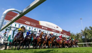 QREC wraps up racing season with strong stats
