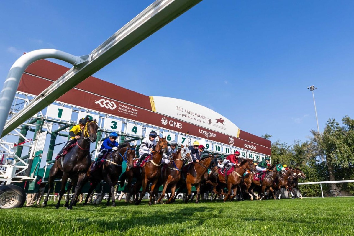 QREC wraps up racing season with strong stats