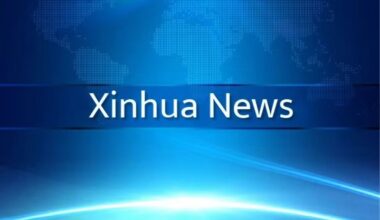 Chinese state councilor stresses bolstering employment, boosting consumption-Xinhua