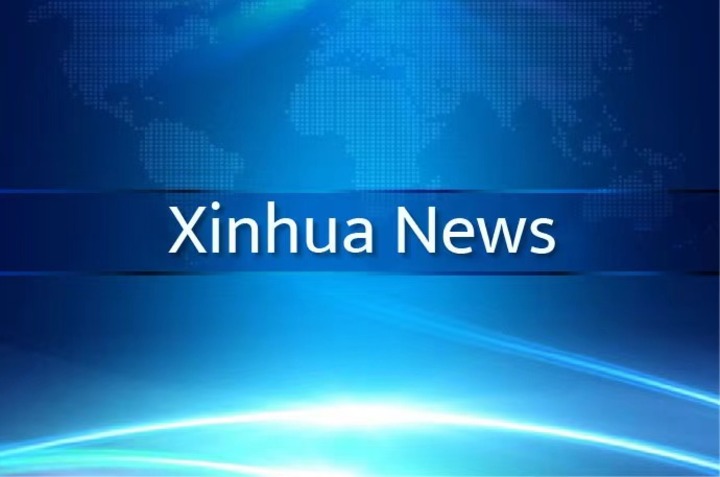 Chinese state councilor stresses bolstering employment, boosting consumption-Xinhua