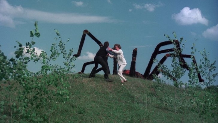 giant spider invasion