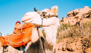 UK tourists abandon spain in price backlash « Euro Weekly News