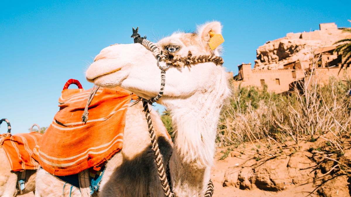 UK tourists abandon spain in price backlash « Euro Weekly News