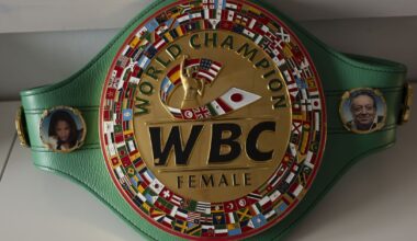 WBC provides updates on upcoming title bouts