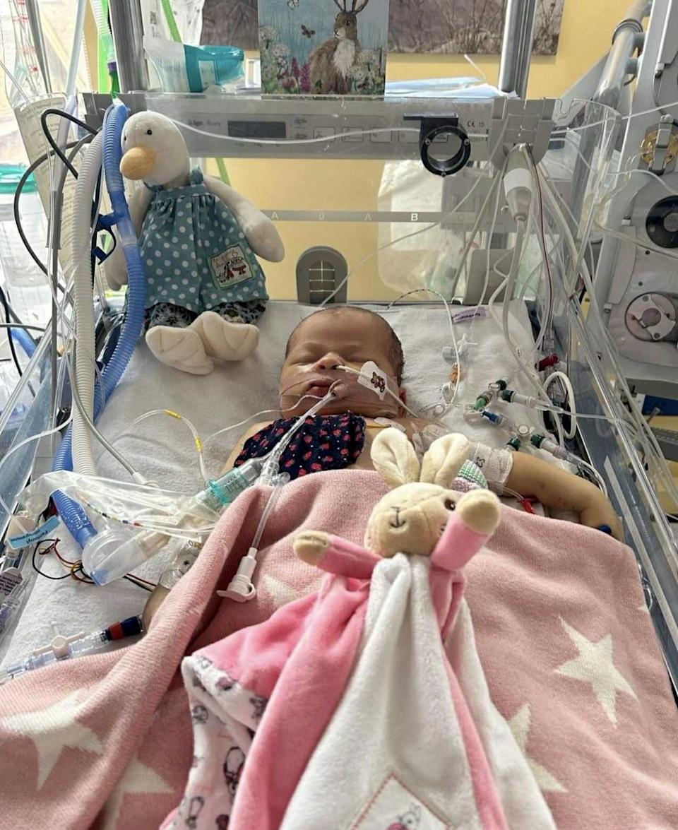 Neonatal herpes is often spread through kissing and Hailey Riches wants to make sure other parents know the danger.  (Hayley Riches/SWNS)
