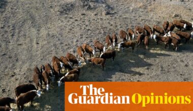 The green drought: June rainfall has come too late to offer relief to farmers in southern Australia | Andrew B Watkins, Allie Grant and Pallavi Goswami for the Conversation