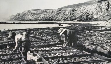 A Japanese village that helped develop California's fishing industry could become container storage
