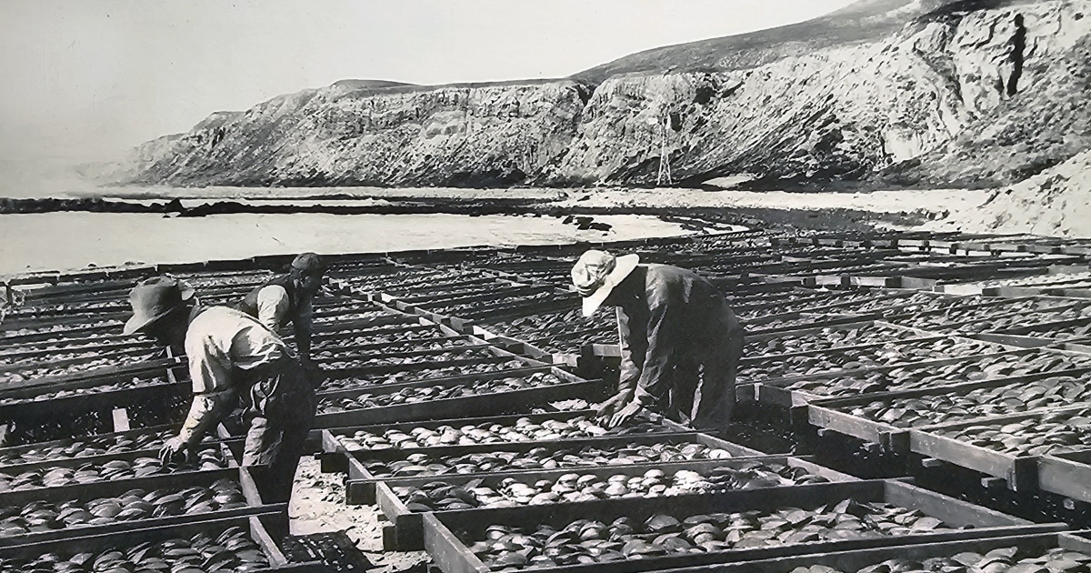 A Japanese village that helped develop California's fishing industry could become container storage