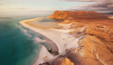 Millions of years of evolution could be wiped out on 'Galapagos of the Indian Ocean,' conservationists warn