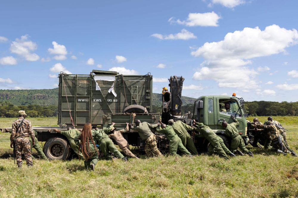 Kenya Wildlife Service veterinarians and rangers help push a truck stuck in the mud, carrying a female black rhinoceros selected for translocation from Lake Nakuru National Park to the Segera Rhino Sanctuary. — AFP pic