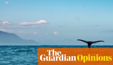 New Zealand is failing to protect its vast ocean resources. We owe it to the world to act | Helen Clark and Kayla Kingdon-Bebb
