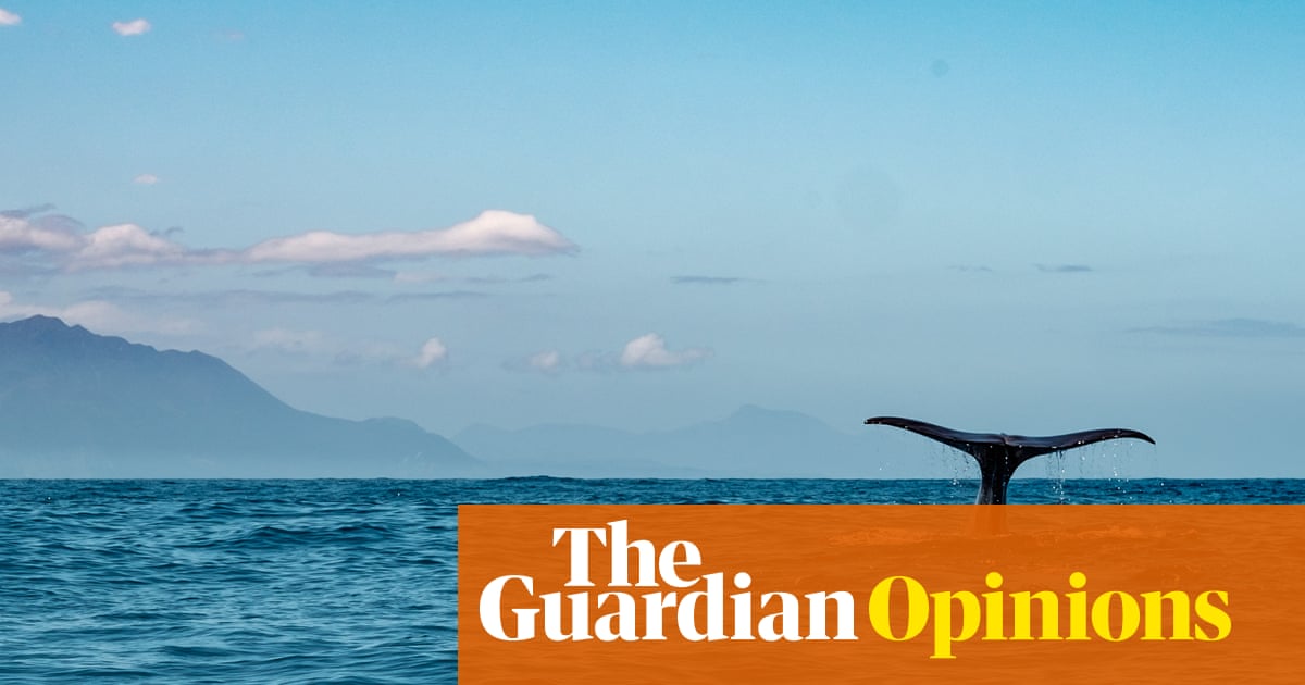 New Zealand is failing to protect its vast ocean resources. We owe it to the world to act | Helen Clark and Kayla Kingdon-Bebb