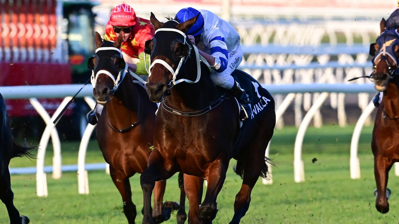 Kovalica snaps a long winning drought with victory in the rich Q22 at Eagle Farm. Picture: Grant Peters, Trackside Photography.