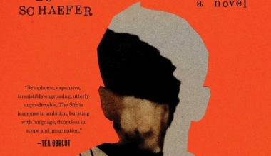 Book Marks reviews of The Slip by Lucas Schaefer Book Marks