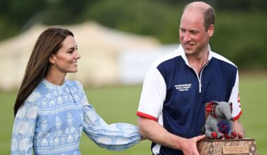 Royal donor offered access to Prince William at polo cup for £20k