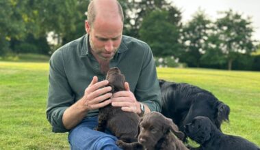 Prince William celebrates 43rd birthday with puppies in new picture