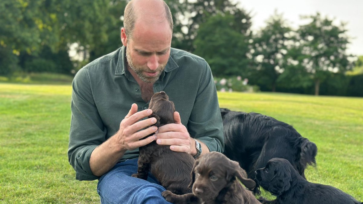 Prince William celebrates 43rd birthday with puppies in new picture
