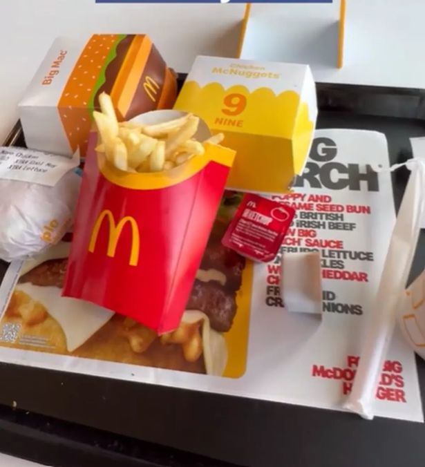 An image of two McDonald's burgers, a portion of fries and a portion of chicken nuggets on a tray.