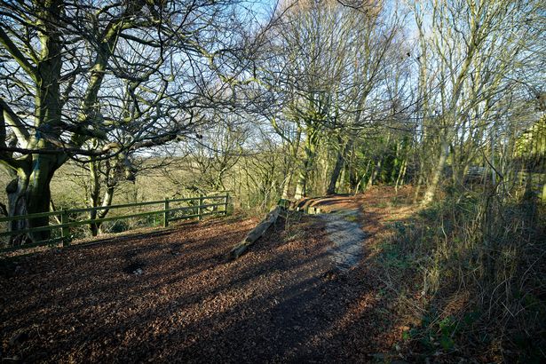 Wooded area at the end of Lower Broughton Road known locally as the 'Lanny'