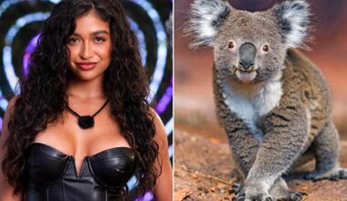 Did Chlamydia Come from a Man Having Sex with a Koala? Fact-Checking “Love Island USA”'s STD Convo