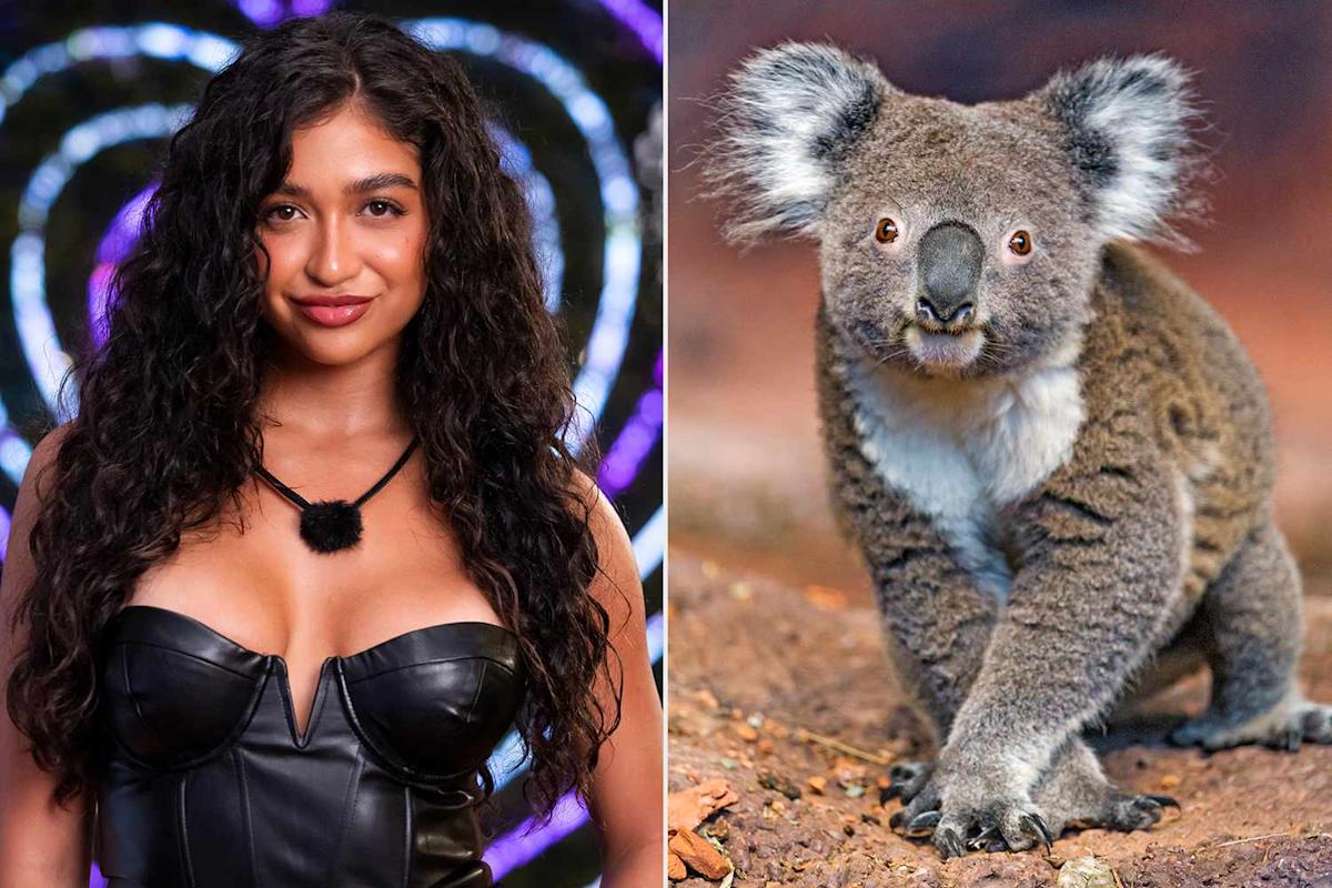 Did Chlamydia Come from a Man Having Sex with a Koala? Fact-Checking “Love Island USA”'s STD Convo