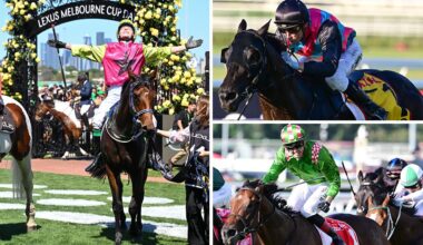 Melbourne Cup winner Knight