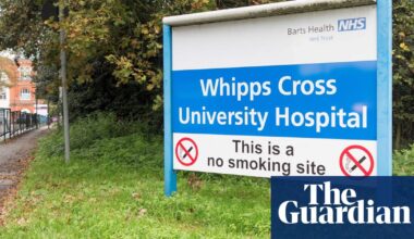 NHS nurse ordered to remove ‘antisemitic’ watermelon video call background launches legal action | NHS