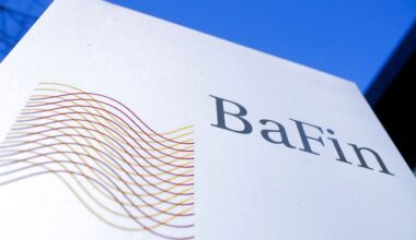 German watchdog finds no abuse in companies' pre-results calls with analysts