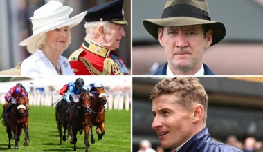 Royal Ascot this year will feature an Australian flavour this year through the likes of trainer Ciaron Maher (top right), jockey James McDonald (bottom right) and gun mare Asfoora (bottom left).