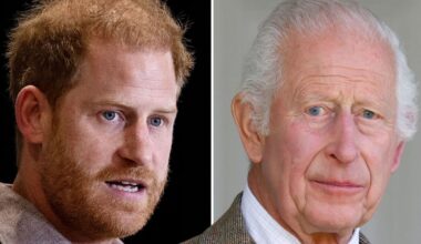 Prince Harry urged to 'apologize' to King before reunion - Celebrity News - Entertainment