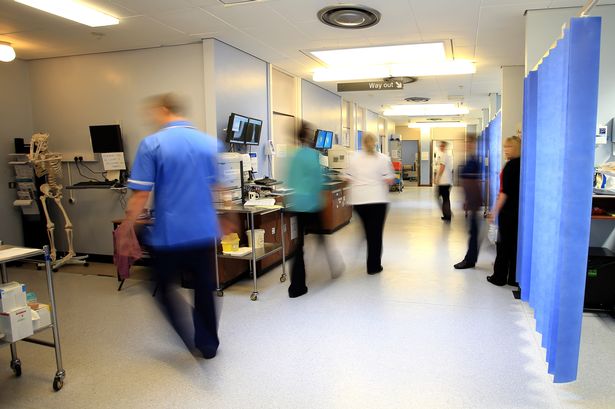 The number of nursing and midwifery professionals in Northern Ireland has reached a record high