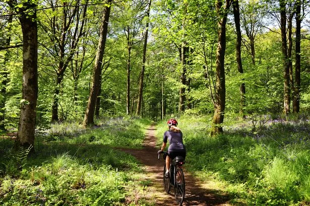 A person gravel biking