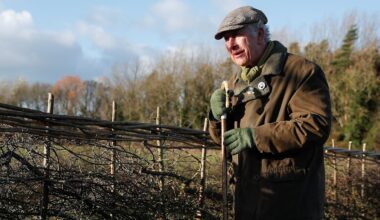 King Charles pictured using walking stick in rare off-duty moment