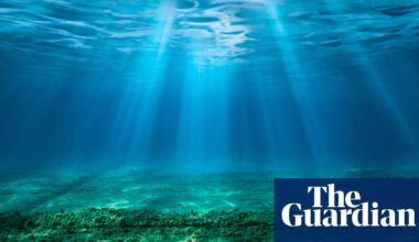‘Ticking timebomb’: sea acidity has reached critical levels, threatening entire ecosystems – study | Ocean acidification