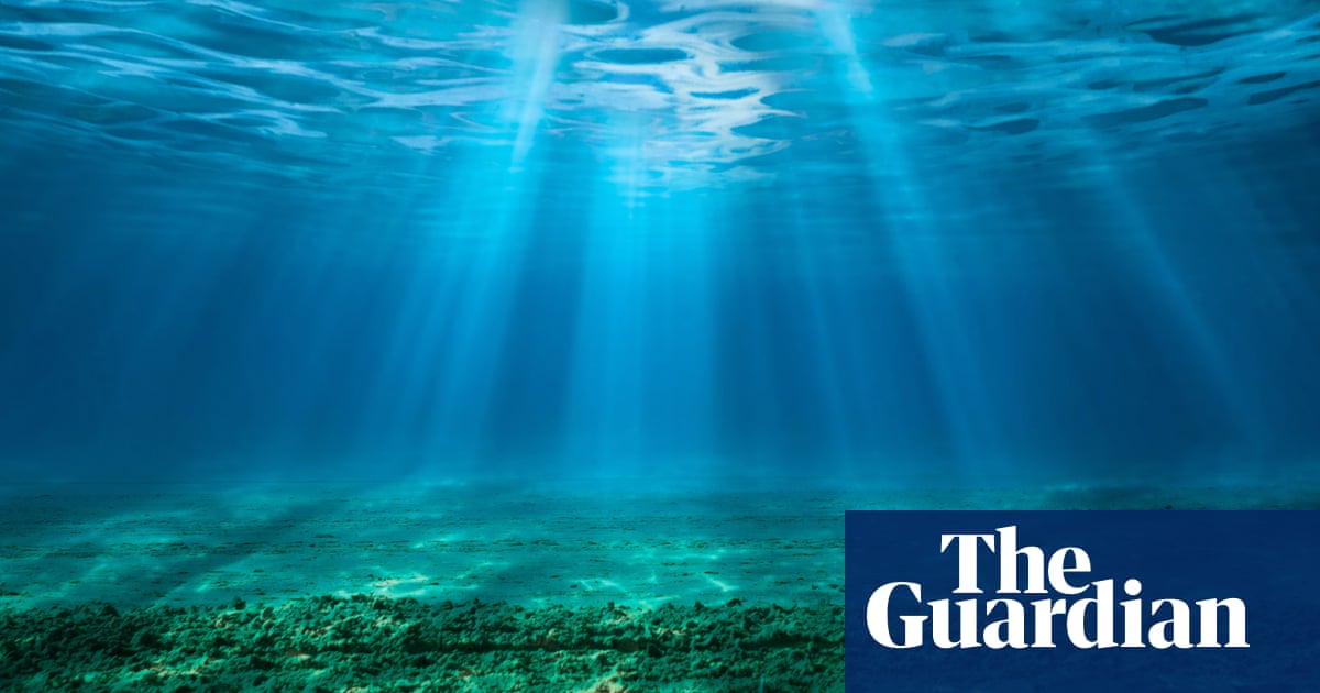‘Ticking timebomb’: sea acidity has reached critical levels, threatening entire ecosystems – study | Ocean acidification