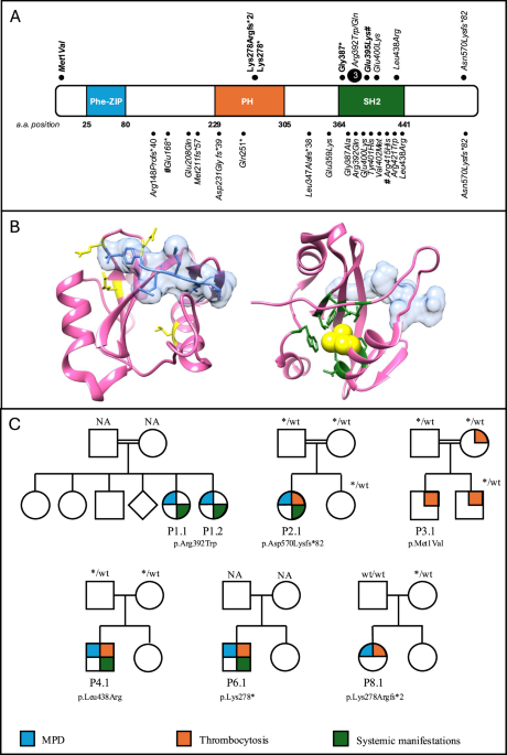 Biallelic SH2B3 germline variants are associated with a neonatal myeloproliferative disease and multisystemic involvement