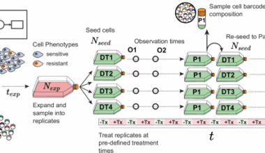 Quantitative measurement of phenotype dynamics during cancer drug resistance evolution using genetic barcoding