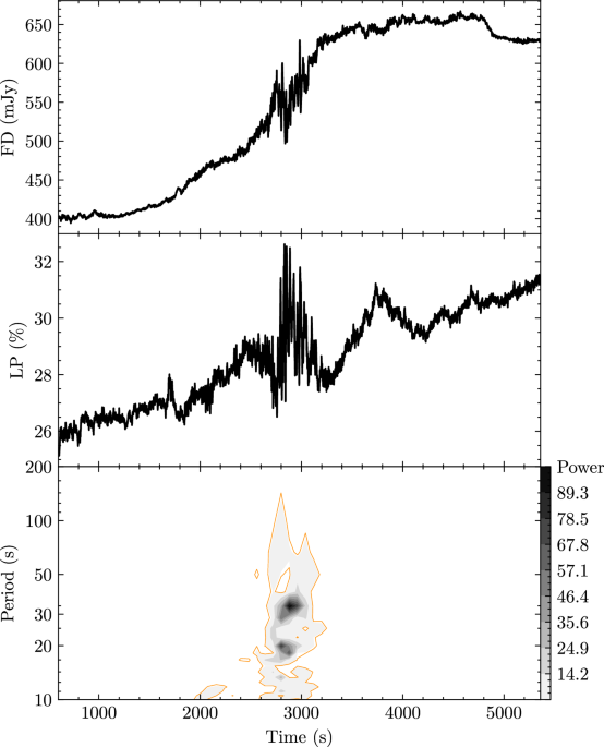 Quasi-periodic oscillations of GHz-band polarization in a black hole
