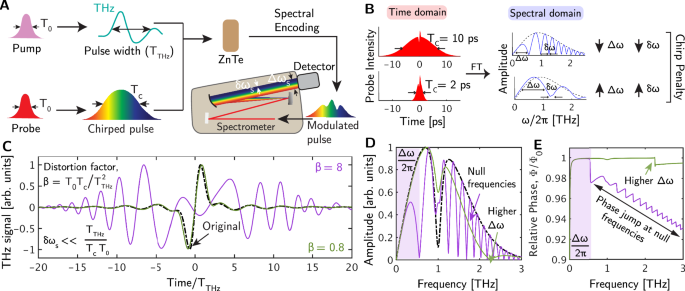 Quantitative single-shot Supercontinuum-Enhanced Terahertz Spectroscopy (SETS)
