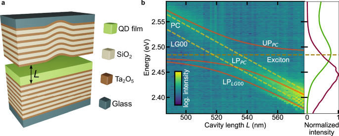 Room-temperature cavity exciton-polariton condensation in perovskite quantum dots