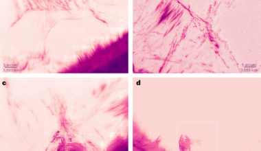 Observations of fine coronal structures with high-order solar adaptive optics