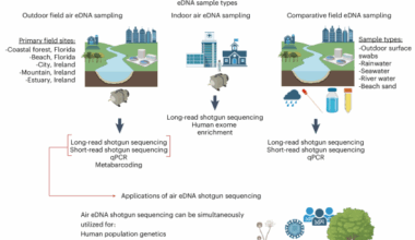 Shotgun sequencing of airborne eDNA achieves rapid assessment of whole biomes, population genetics and genomic variation