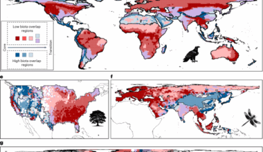 A general rule on the organization of biodiversity in Earth’s biogeographical regions