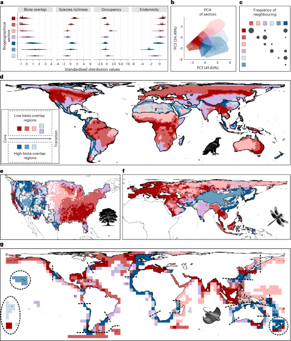 A general rule on the organization of biodiversity in Earth’s biogeographical regions