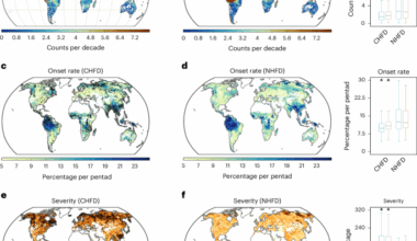 Flash drought impacts on global ecosystems amplified by extreme heat