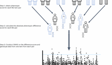 Mental health-related genes that are sensitive to the environment - Nature